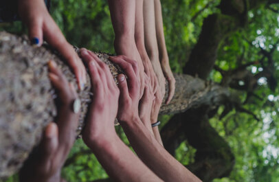 Handen op een boomstam