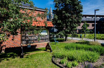 Luwe plek in de stad; hofje tussen gebouwen