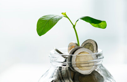 Uit een pot met geld groeit een plantje
