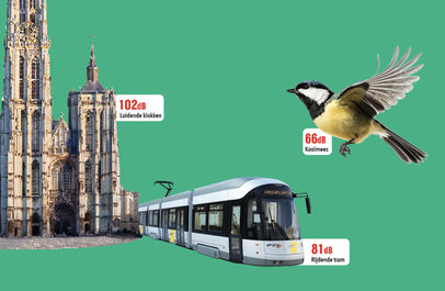Kathedraal, koolmees en tram met het aantal decibel erbij vermeld