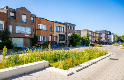 Wijk in Antwerpen met groen en waterinfiltratie