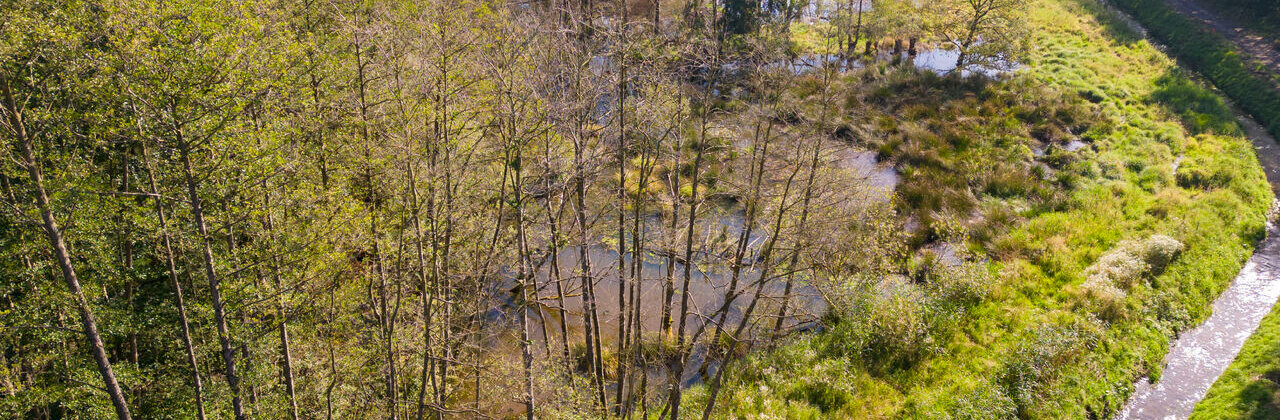 Stiemervallei in Genk