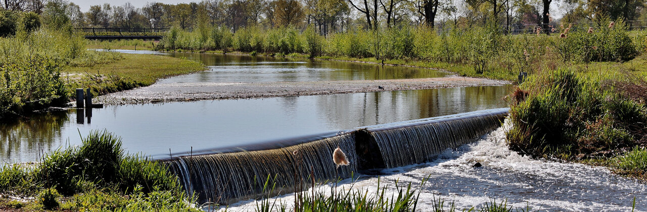 Natuurgebied met waterloop