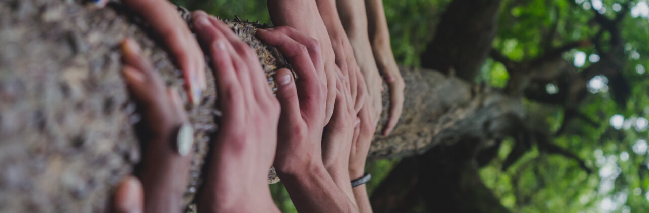 Handen op een boomstam