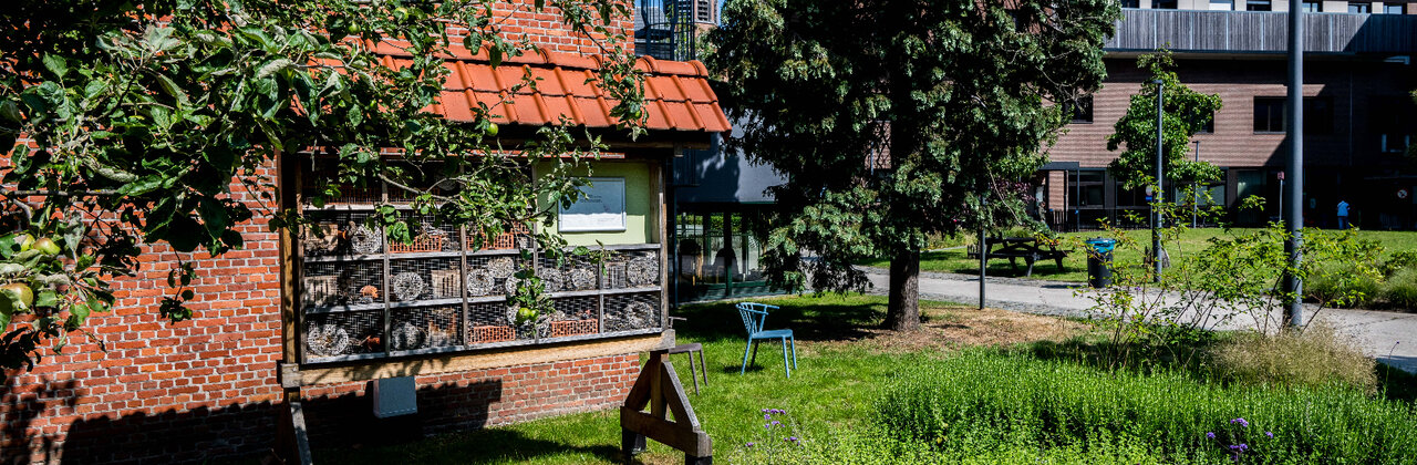 Luwe plek in de stad; hofje tussen gebouwen