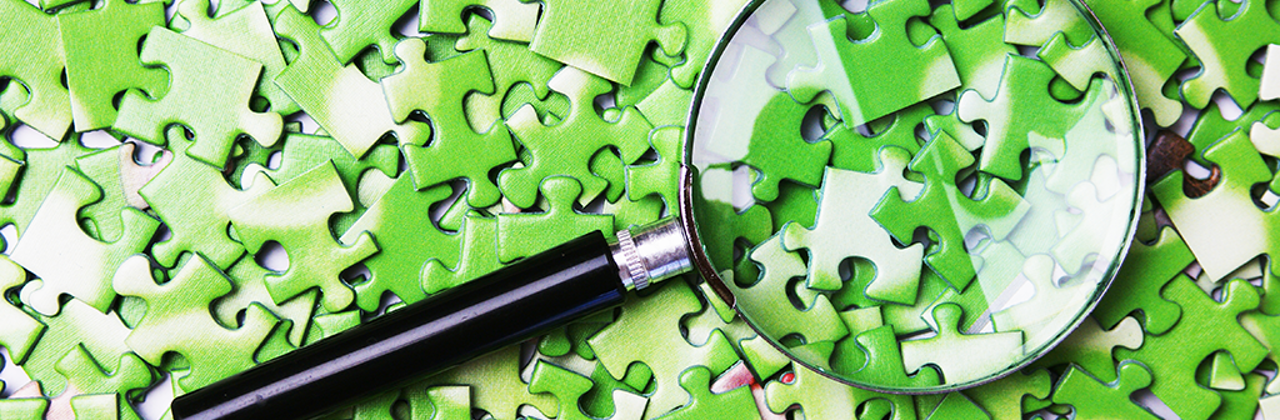 Puzzelstukjes en een vergrootglas