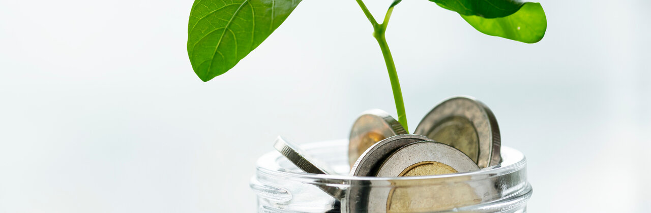 Uit een pot met geld groeit een plantje
