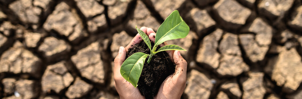 Droge gebarsten aarde