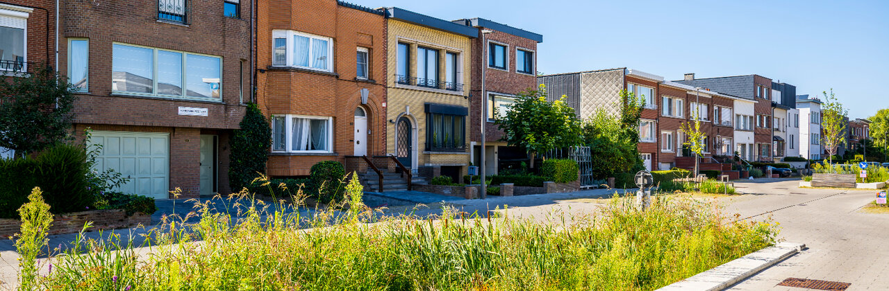 Wijk in Antwerpen met groen en waterinfiltratie