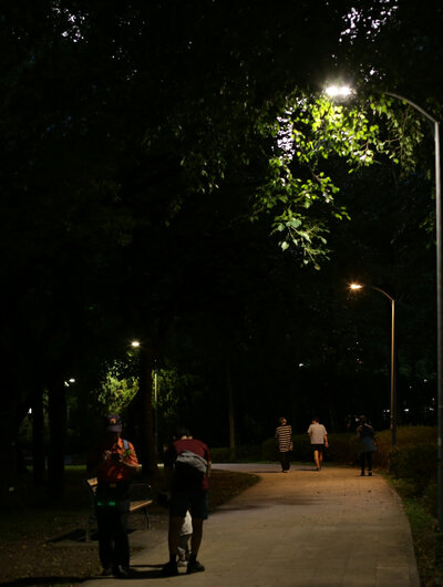 Straatverlichting in een donkere straat